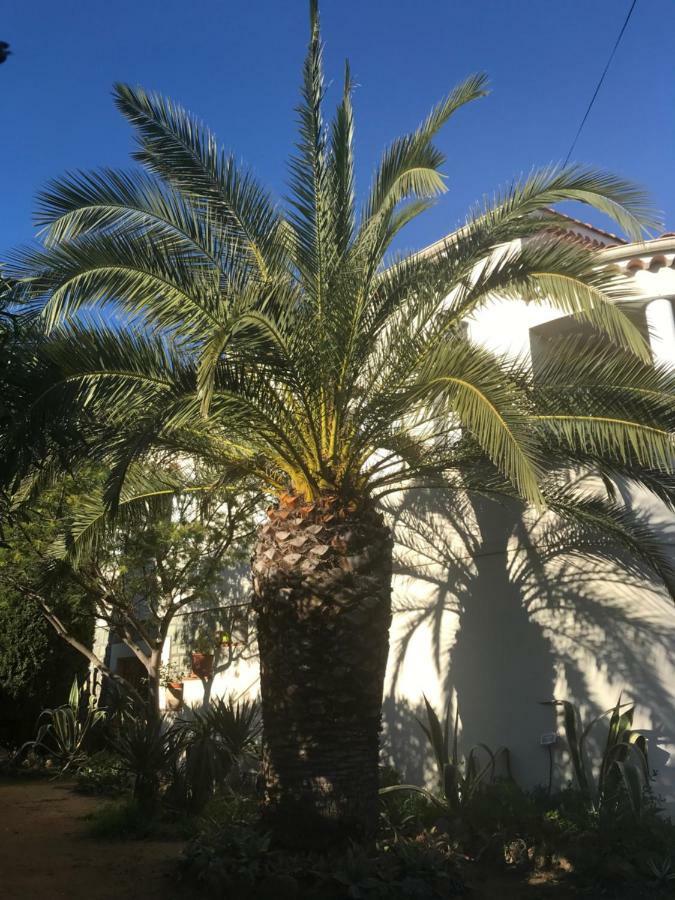 Rez De Villa Pebrier Fréjus 外观 照片