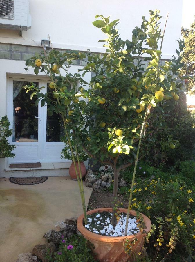 Rez De Villa Pebrier Fréjus 外观 照片